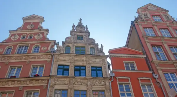 Bogata gdańsk architektura kamienic z detalami rzeźbiarskimi i ozdobnymi fasadami, widziana z dołu pod błękitnym niebem.