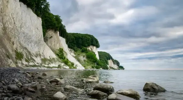 Majestatyczne, białe klify Rugii wznoszą się nad kamienistą plażą i spokojnym morzem.