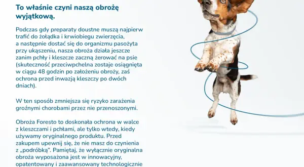 Skuteczne sposoby na pchły dla psa - uniknij problemów z infestacją