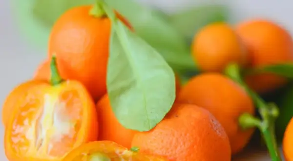 Ile kcal ma mandarynka? Zaskakujące fakty o kaloryczności tego owocu