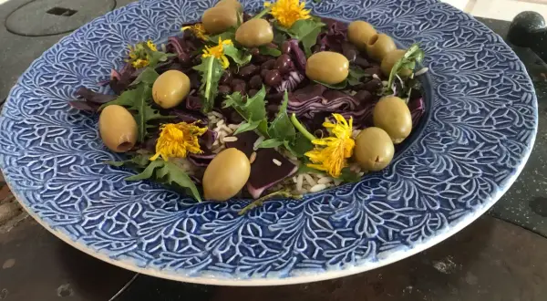 En blåmönstrad tallrik med en sallad av ris, svarta bönor, rödkål, oliver och maskrosblommor. Ett spännande maskros recept!