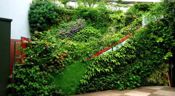 Una rigogliosa parete verde ricca di piante e fiori, con una scala rossa che attraversa la vegetazione.