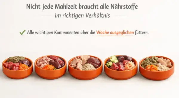 Fünf orange Schalen mit verschiedenen Zutaten für das Barfen von Welpen, darunter Fleisch, Innereien und Gemüse.