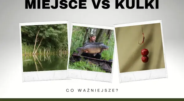 Miejsce czy kulki? Wędkarz z karpiem i przynęty na karpia. Co ważniejsze?