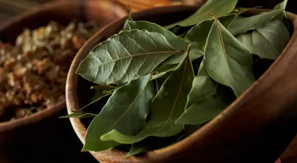 Hojas de laurel secas en un cuenco de madera, listas para dar sabor a guisos y estofados.