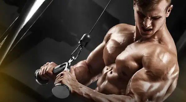Najlepsze ćwiczenia na triceps na siłowni: zbuduj masę i siłę