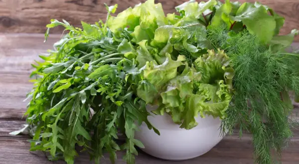 Miska pełna świeżych sałat, rukoli i kopru – naturalne produkty bogate w tlenek azotu dla zdrowia.