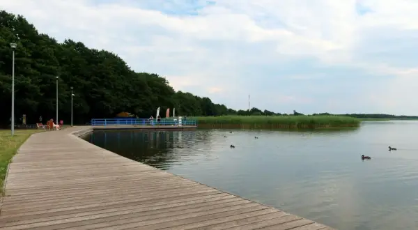 Drewniana promenada nad jeziorem, z widokiem na trzciny i pływające kaczki. Dąbki atrakcje dla miłośników natury i spokoju.