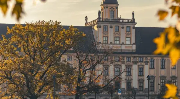 Jesienne drzewa na tle zabytkowego budynku uniwersyteckiego we Wrocławiu.