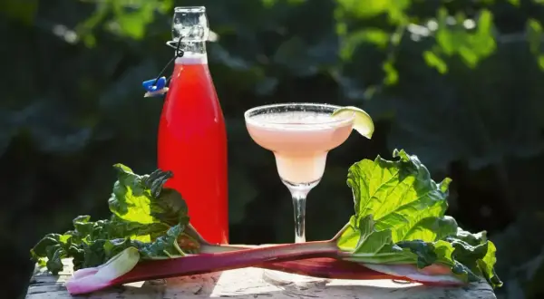 Butelka z nalewką rabarbarową, kieliszek drinka i świeże łodygi rabarbaru na drewnianym tle.