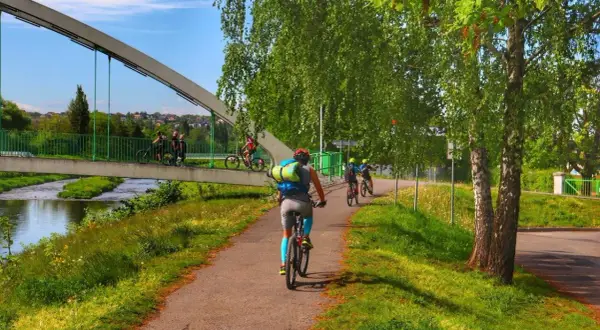 Rowerzyści przemierzają malownicze trasy rowerowe Beskidy, ciesząc się zielenią i słońcem.