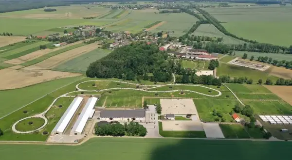 Park przygód i atrakcji – najlepsze atrakcje dla całej rodziny w Wilkowicach