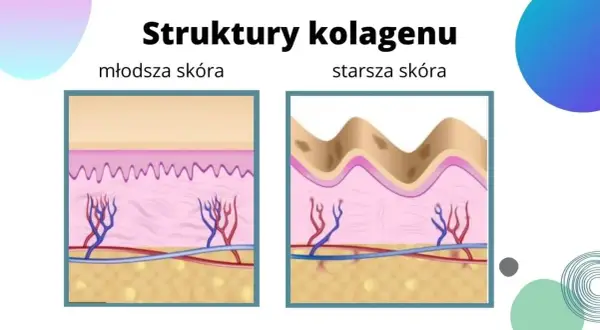 Do czego służy kolagen? Poznaj jego kluczowe funkcje i korzyści