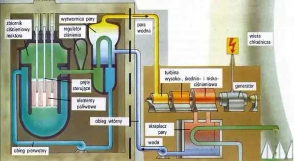 Elektrownia jądrowa: Jak działa, czy jest bezpieczna i co z Polską?
