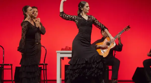 Bailarinas de flamenco con vestidos negros y volantes, un guitarrista y un cantante expresan pasión. El flamenco representa la fuerza y el alma andaluza.