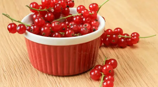 Pyszny dżem z czerwonej porzeczki w czerwonej miseczce, gotowy do podania.