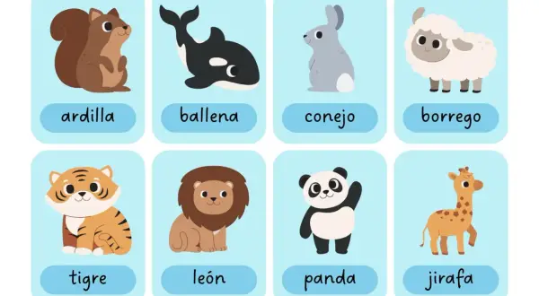 Tarjetas educativas con dibujos de animales para niños: ardilla, ballena, conejo, borrego, tigre, león, panda y jirafa.