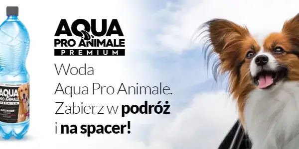 Jaka woda dla szczeniaka? Ekspert radzi: unikaj tych błędów!