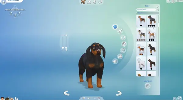 Wybieranie psa rasy rottweiler w The Sims 4. Jak adoptować psa w The Sims 4?