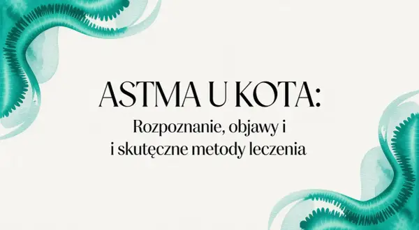 Astma u kota: rozpoznanie, objawy i skuteczne metody leczenia. Woda w akwarelowym stylu podkreśla delikatność tematu.
