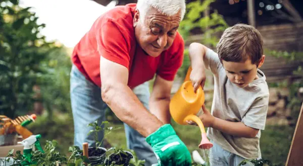 Nonni che vogliono stare soli con i nipoti, in giardino, insegnano a innaffiare le piantine.