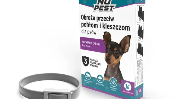 Obroża czy krople na pchły – co jest skuteczniejsze dla Twojego pupila?