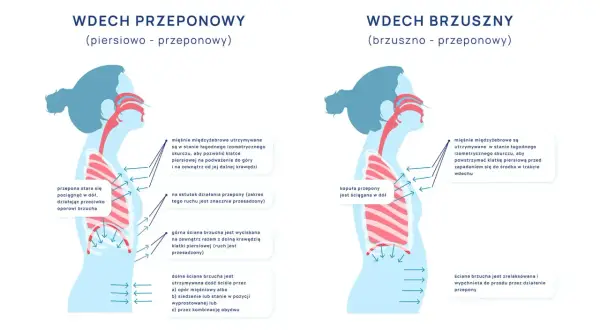 Ilustracja pokazuje, jak prawidłowo oddychać: wdech przeponowy i brzuszny. Diagramy porównują ruchy klatki piersiowej i brzucha.