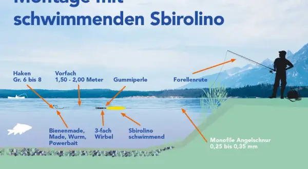 Montage mit schwimmenden Sbirolino: Haken, Vorfach, Gummiperle, 3-fach Wirbel, Köder und Sbirolino schwimmend am Forellenruten-System.