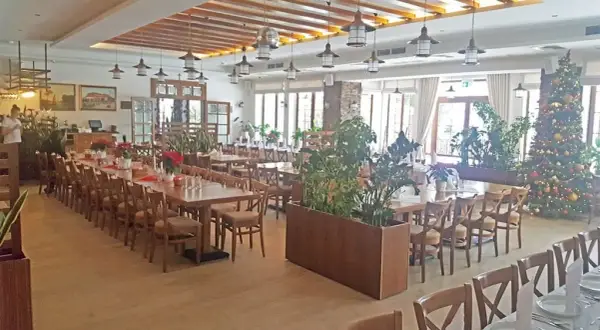 Gdzie zjeść w Serocku? Najlepsze restauracje i smaki, które musisz spróbować