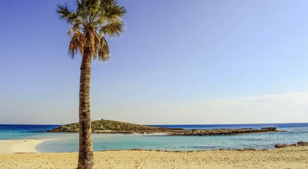 Idealne miejsce, gdzie na wakacje we wrześniu: piaszczysta plaża, palmy i turkusowe morze.