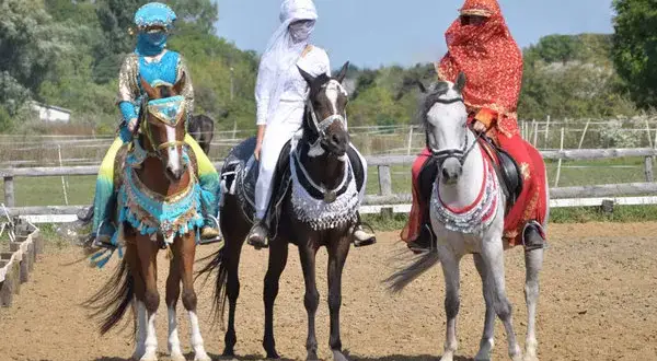 Najlepsze stadniny koni arabskich w Polsce: historia i unikalne cechy
