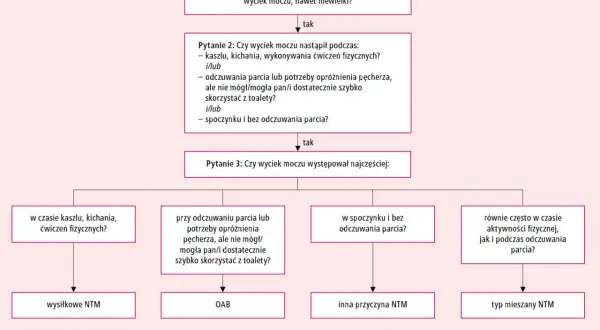 Schemat diagnostyczny problemów z oddawaniem moczu: wyciek podczas wysiłku, parcia lub w spoczynku, prowadzący do NTM wysiłkowego, OAB lub mieszanego.