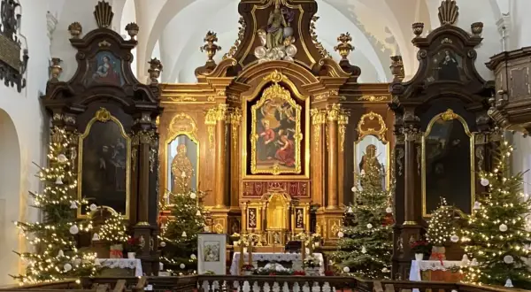 Ołtarz główny kościoła z obrazem Matki Boskiej, ozdobiony choinkami i iluminacjami.