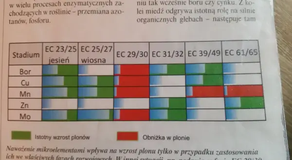 Plonvit zboża z czym łączyć, aby uniknąć błędów w uprawie