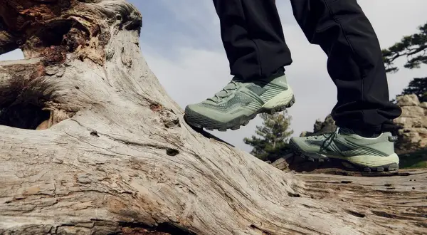 Zielone buty trekkingowe na pniu drzewa. Idealne, by wybrać się na wędrówkę po górach.