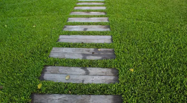 Sendero de madera sobre césped verde. Ideal para aprender como poner tepes de césped y crear un jardín.