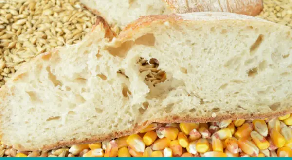 Kiedy wprowadzić gluten do diety dziecka, aby uniknąć problemów zdrowotnych?