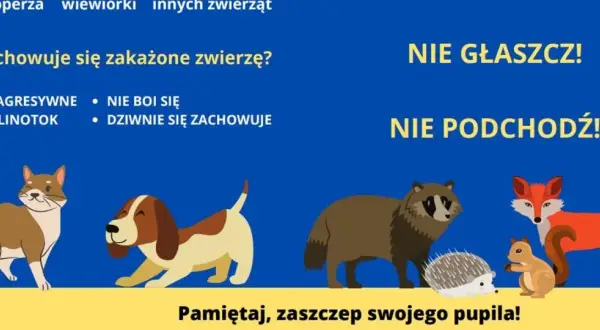 Agresywne, śliniące się zwierzęta mogą mieć wściekliznę. Nie głaszcz i nie podchodź! Zaszczep pupila.