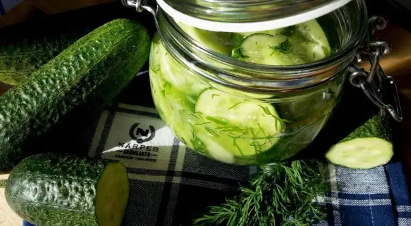 Burk med inlagd gurka och färsk dill. Bredvid står hela gurkor och en skiva.