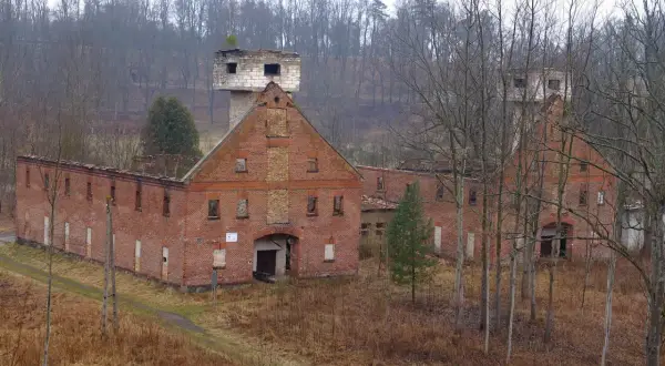 Ruiny ceglanych budynków, przypominające jedne z największych twierdz w Polsce, otoczone drzewami.