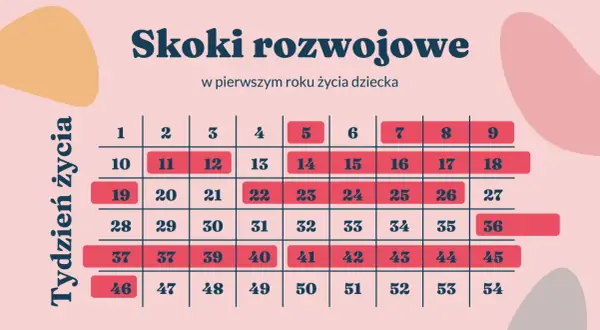 Tabela "Skoki rozwojowe w pierwszym roku życia dziecka" z zaznaczonymi tygodniami, np. pierwszy skok rozwojowy u noworodka.