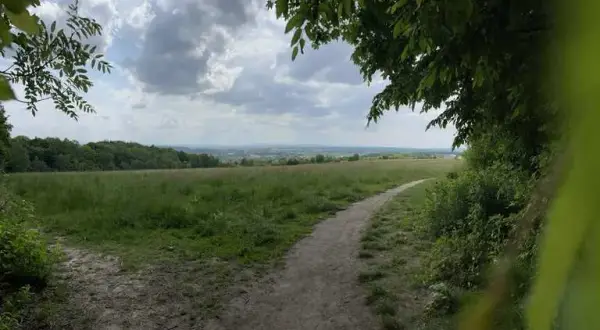 Las Wolski trasy rowerowe - odkryj najlepsze szlaki i ich trudności