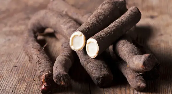 Frisch geerntete Schwarzwurzeln liegen auf Holz. Das Innere einer aufgeschnittenen Wurzel zeigt das helle Fruchtfleisch. Perfekt, um Schwarzwurzel anzubauen.