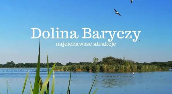 Spokojna tafla wody, trzciny i dwa ptaki szybujące na błękitnym niebie nad Doliną Baryczy.