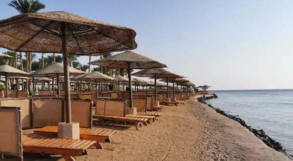 Plaża w Egipcie z rzędami leżaków i parasoli. Zastanawiasz się, ile kosztuje wiza do Egiptu, by tu wypocząć?