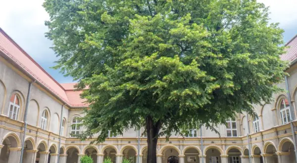Dziedziniec z okazałym drzewem i arkadowymi krużgankami, przypominający o historii zamku w Krapkowicach.