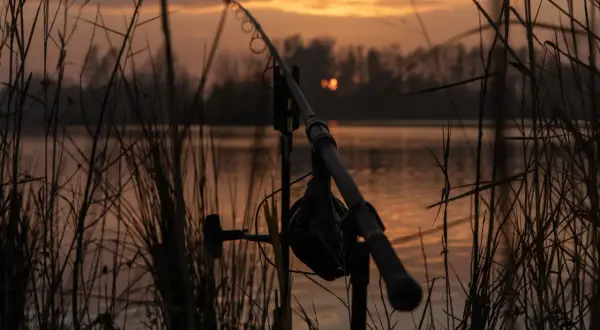 Eko Lakes Wójcina – idealne łowisko karpiowe z wyjątkowymi rybami