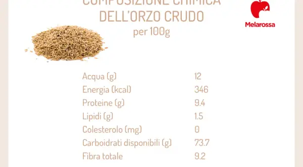 Composizione chimica dell'orzo crudo: scopri le proprietà dell'orzo, con valori nutrizionali per 100g.