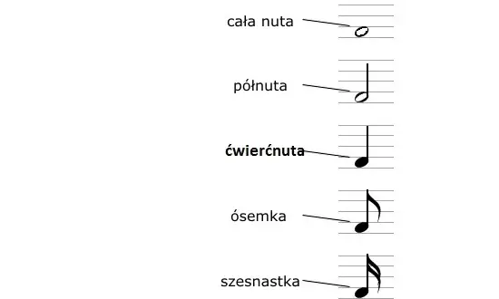 Jak wygląda cała nuta? Zrozum jej wartość i pauzę!