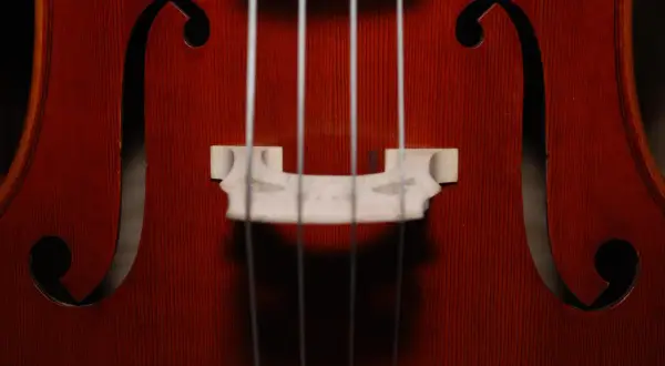 Nahaufnahme des Korpus eines Cellos mit den Saiten und dem Steg. Ein detaillierter cello steckbrief.